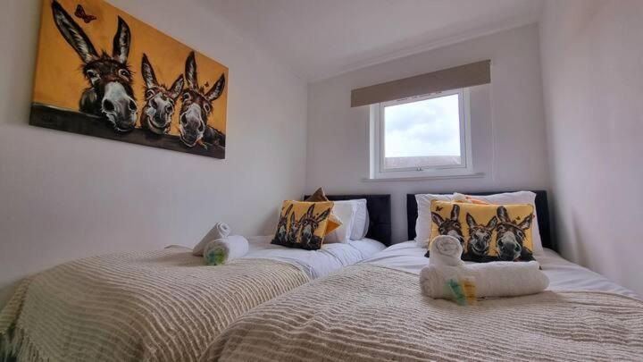 Apartamento No 62 Fivedom - Charming & Cosy Southampton Exterior foto